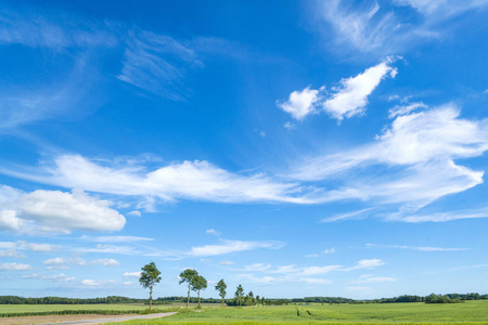 夏天的风景与蓝天上的白云在翠绿的田野上