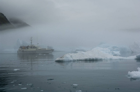 格陵兰 Narsusuaq 峡湾的蓝色冰山