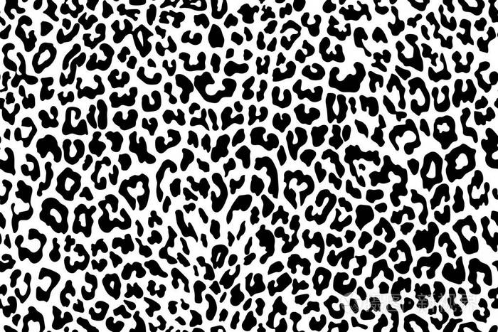 豹纹无缝图案.白色和黑色.动物指纹矢量背景