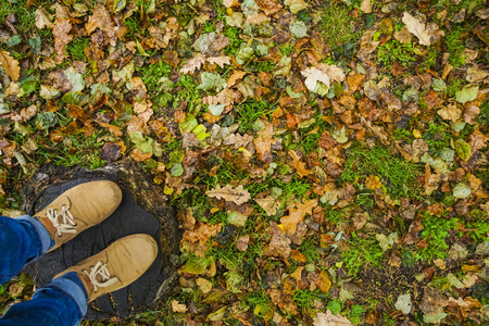 穿着棕色皮靴的男子, 站在老圆树桩之间的秋叶。在秋天森林的树桩上的人的脚在黄色鞋子