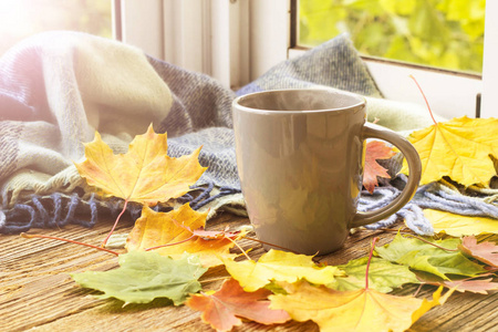 仍然生活一杯咖啡和秋天的树叶与格子, 色调