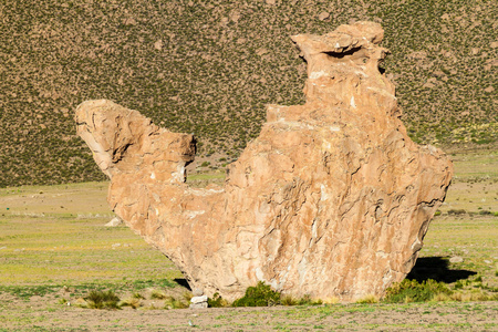 在意大利迪达在玻利维亚叫骆驼的岩石形成