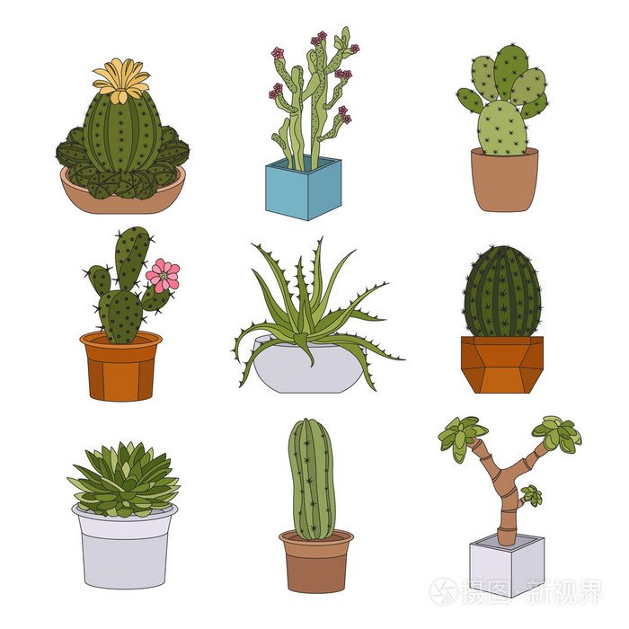 仙人掌与多肉植物的图标集 室内盆栽植物插画 正版商用图片0snq8p 摄图新视界