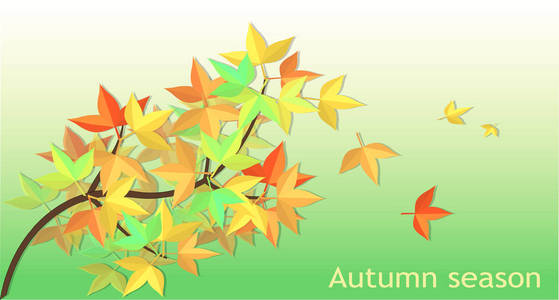 落叶是五颜六色的枫叶随风飘荡。以绿色背景, 媒介艺术和例证