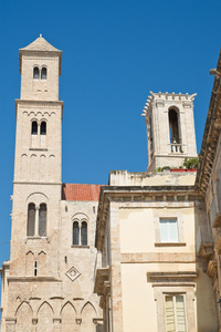大教堂的圣的玛利亚。焦维纳佐。普利亚大区。意大利