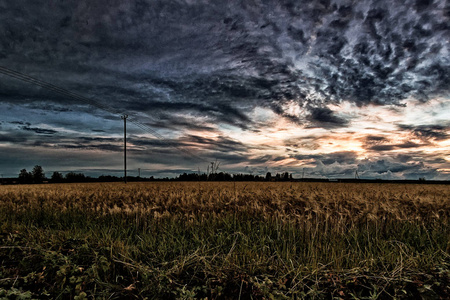 电话线穿过了芬兰农村的大麦田。夏天的太阳在背景下戏剧性地落下。