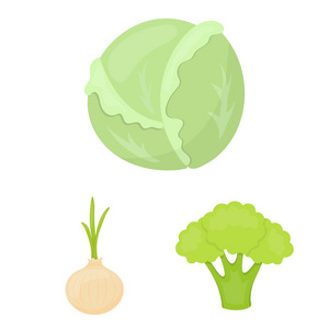 不同种类的蔬菜卡通图标集为设计收藏。蔬菜和维生素矢量符号股票网站插图
