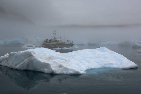 Narsarsuaq 格陵兰的蓝冰冰山