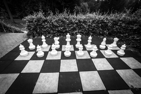 白色片断在一个大棋游戏在庭院里以黑白颜色