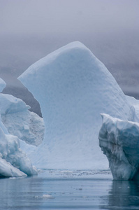 Narsarsuaq 格陵兰的蓝冰冰山