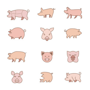 小猪的矢量图标。不同类型和类型的猪为标志或例证