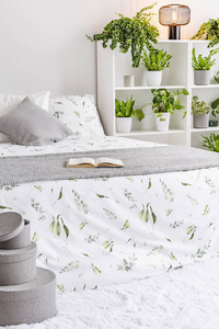 女性卧室室内白色, 灰色和绿色与植物旁边的床上穿着枕头, 床罩和毯子制成的天然织物。真实照片
