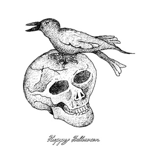节日和庆祝, 例证手绘了人的头骨和乌鸦在白色背景被隔绝的剪影。万圣节庆典标志
