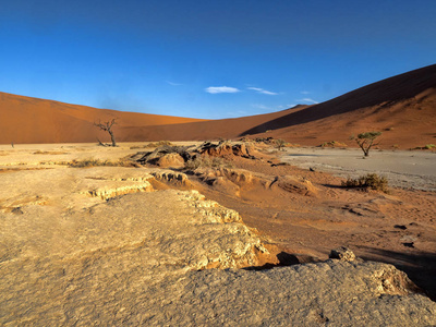 纳米比亚 Deadvlei 的魔法景观