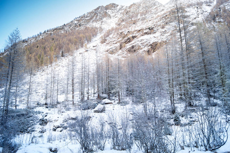 在雪地里山风景