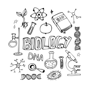 分子核植物图片-分子核植物素材-分子核植物插画-摄图新视界