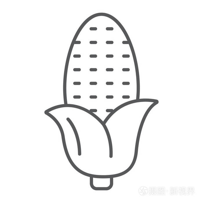 玉米芯和蔬菜,植物符号,矢量图形,白色背景的线性图案插画-正版商用