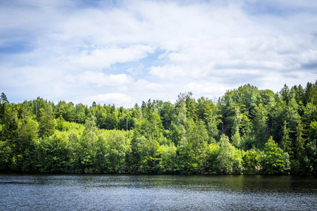夏日里绿树成荫的湖景与蓝天