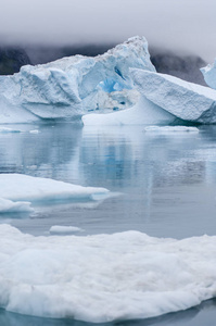 格陵兰 Narsusuaq 峡湾的蓝色冰山