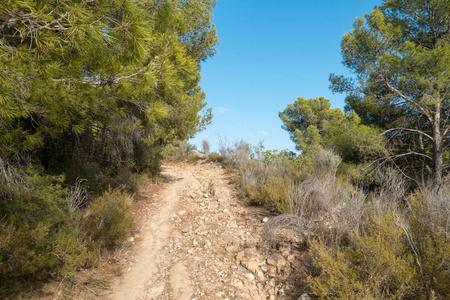 西班牙 Castellon 的沙漠公园