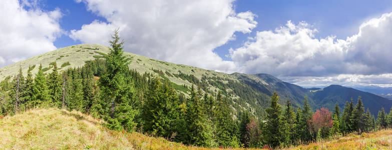 秋季在砂矿的山脉全景上布满了石树, 上面有空地和树木。