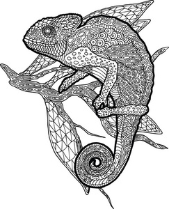 变色龙素描图片