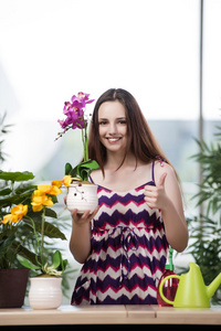 年轻女人照顾家里的植物