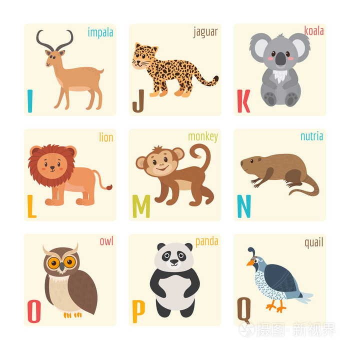 可爱的动物园字母与动物卡通风格 美洲豹插画 正版商用图片0sonft 摄图新视界