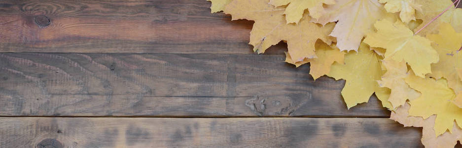 在深褐色天然木板的背景表面上许多发黄的秋天叶子的构成