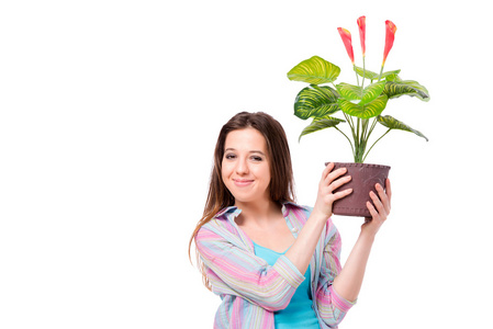 年轻女人照顾的植物上白色孤立