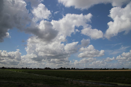 荷兰 Zuidplaspolder 的草地和田野之上的大积云