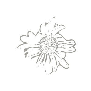 矢量漫画图标相似素材图片 摄图新视界