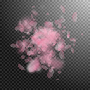 樱花花瓣落下。浪漫的粉红色花朵爆炸。透明方形 bac 上的飞花瓣
