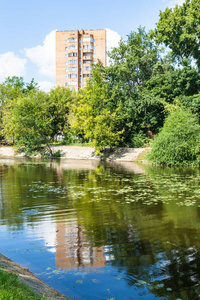 Zhabenka 河附近的大花园 大学术 池塘在莫斯科城市的 Timiryazevskiy 公园夏天天