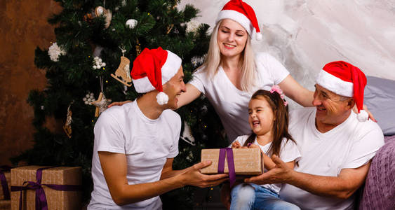 家庭愉快的肖像在圣诞树附近花时间