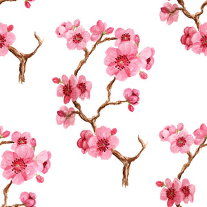 Seamles 花纹与日本樱花在白色背景上粉红色的花朵