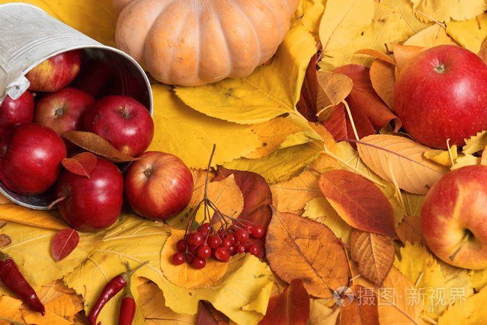 秋季收获-水果和蔬菜上落黄叶, 苹果, 南瓜, 罗恩和胡椒.秋季最佳背景