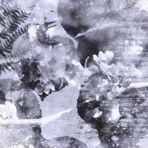 黑白图片从秋天老丢失的信件和植物标本室与油漆污点