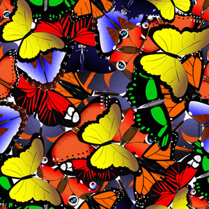无缝模式从蝴蝶