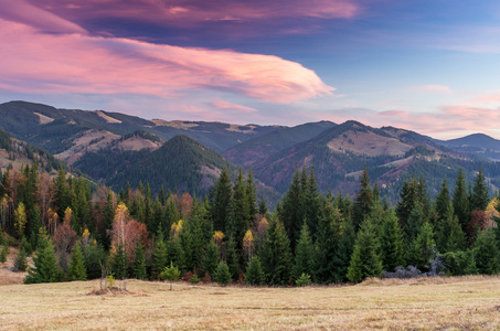 下秋天的树林，山坡上的风景