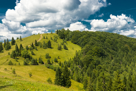 在喀尔巴阡山青水秀风景