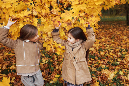 快乐的小女孩，在温暖的阳光美丽的秋天公园玩秋季的一天。孩子们玩金枫叶