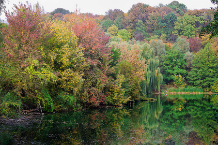 池塘中黄绿红秋树的倒影