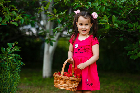 可爱的小女孩拿着篮子红色草莓摆在阳光花园里