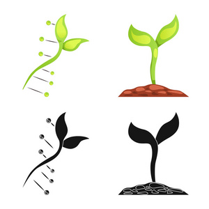 孤立对象的遗传和植物的图标。一套基因和生物技术向量图标的股票