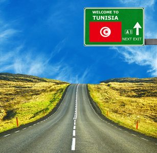 突尼斯道路标志反对清澈的天空