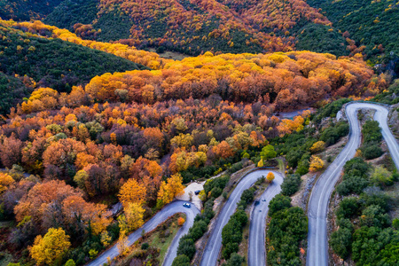 Vikos 峡谷的鸟瞰, 在鲁斯 Zagorohoria, 希腊的许多曲折的省道。国家公园