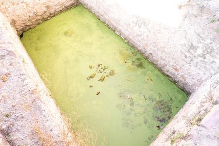 与绿水在别墅的游泳池图片