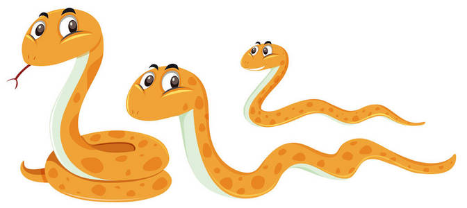白色背景插图上的一组蛇