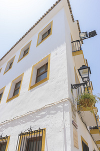 传统的安达卢西亚街道上花和白色的房屋，在